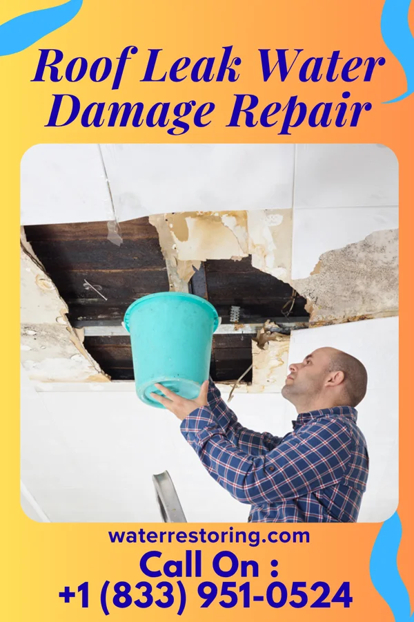 Roof Leak Water Damage Repair in Dodson, LA