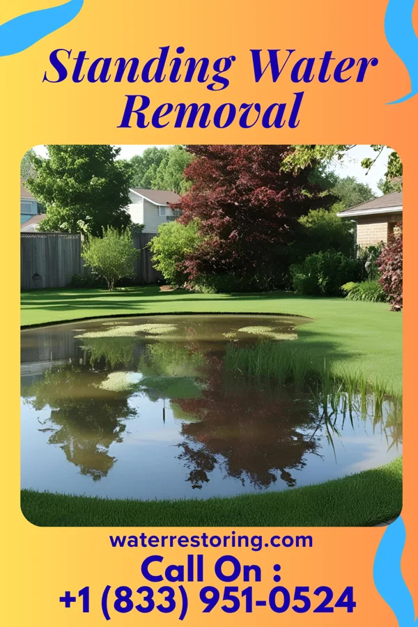 Standing Water Removal in Dodson, LA